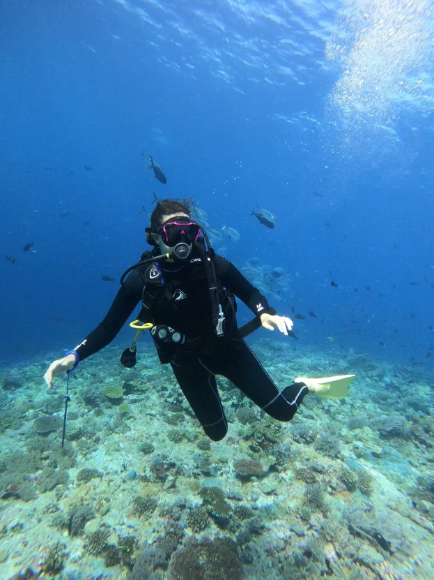 Tomia Scuba Diving Discovery